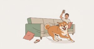 リビングを全力疾走する柴犬と見守る飼い主のイラスト