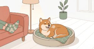 夜のリビングで丸くなってため息をつく柴犬